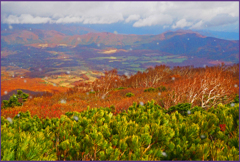 「小雪舞う」12