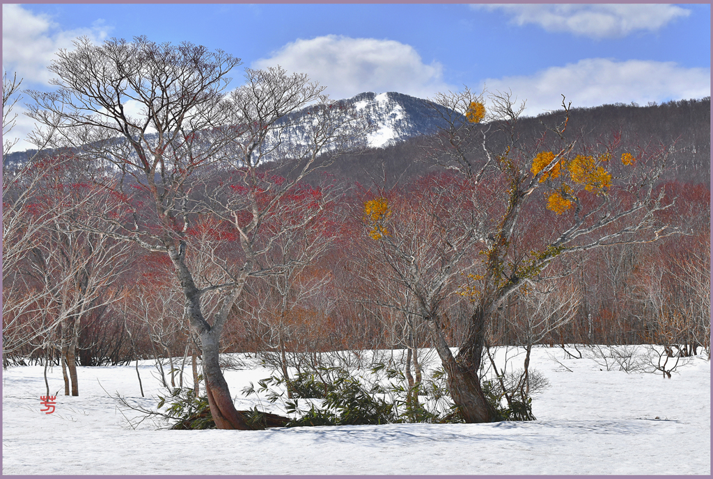 八甲田山「残雪.八甲田山回遊　Ⅱ」