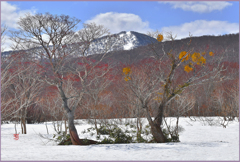 八甲田山「残雪.八甲田山回遊　Ⅱ」