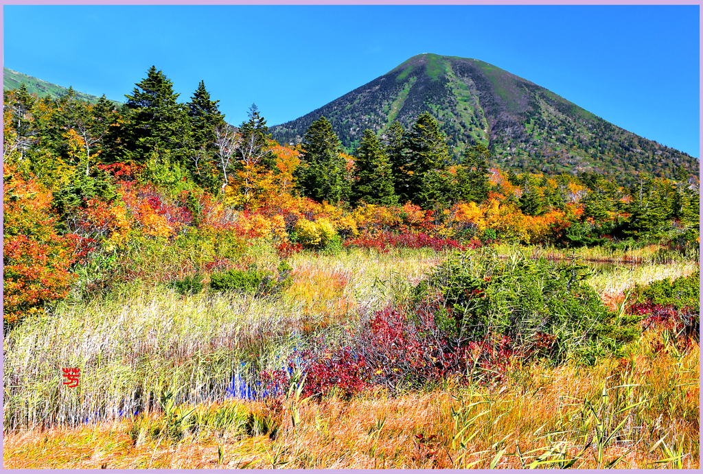 水連沼（八甲田山）Ⅱ