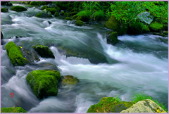 奥入瀬.静脈　Ⅲ