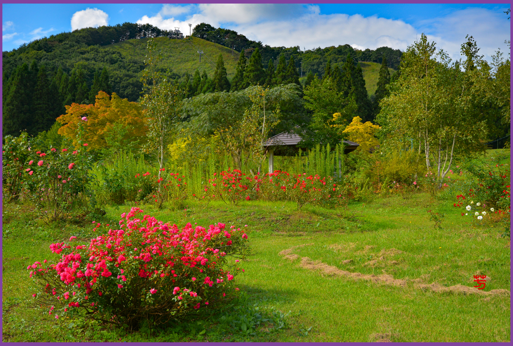 七戸「東八甲田ローズカントリー」11
