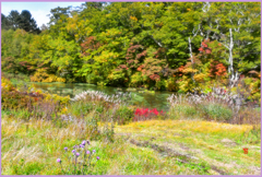 八甲田グダリ沼 1