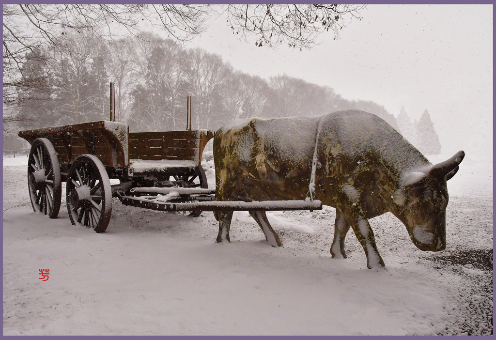 「厳冬のまきば」