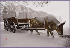 「厳冬のまきば」
