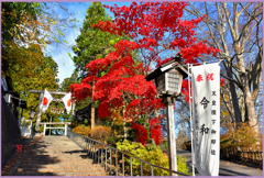 ＠神社の日和　1