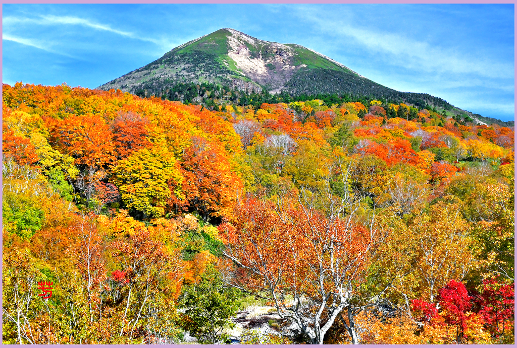 八甲田山.酸ヶ湯紅葉（高田大岳）