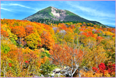 八甲田山.酸ヶ湯紅葉（高田大岳）