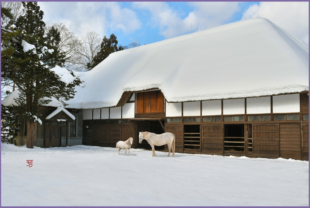 「南部曲屋育成厩舎」