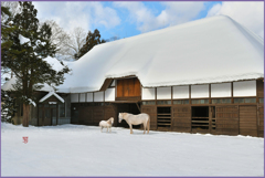 「南部曲屋育成厩舎」