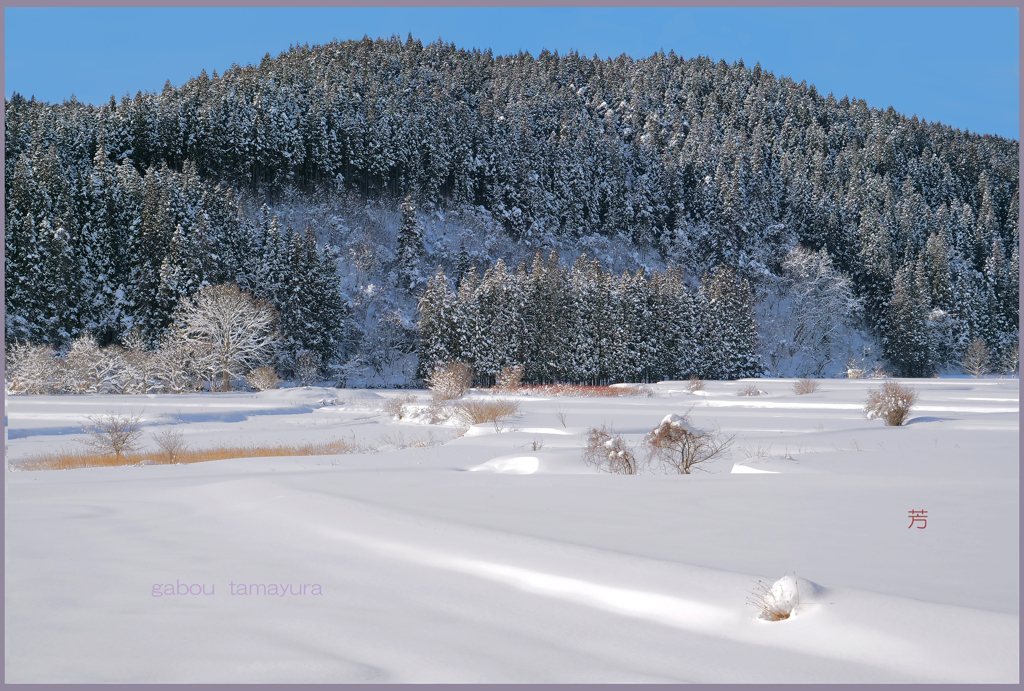 「雪晴れの朝　1」