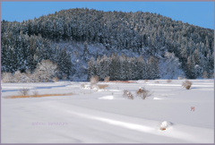 「雪晴れの朝　1」