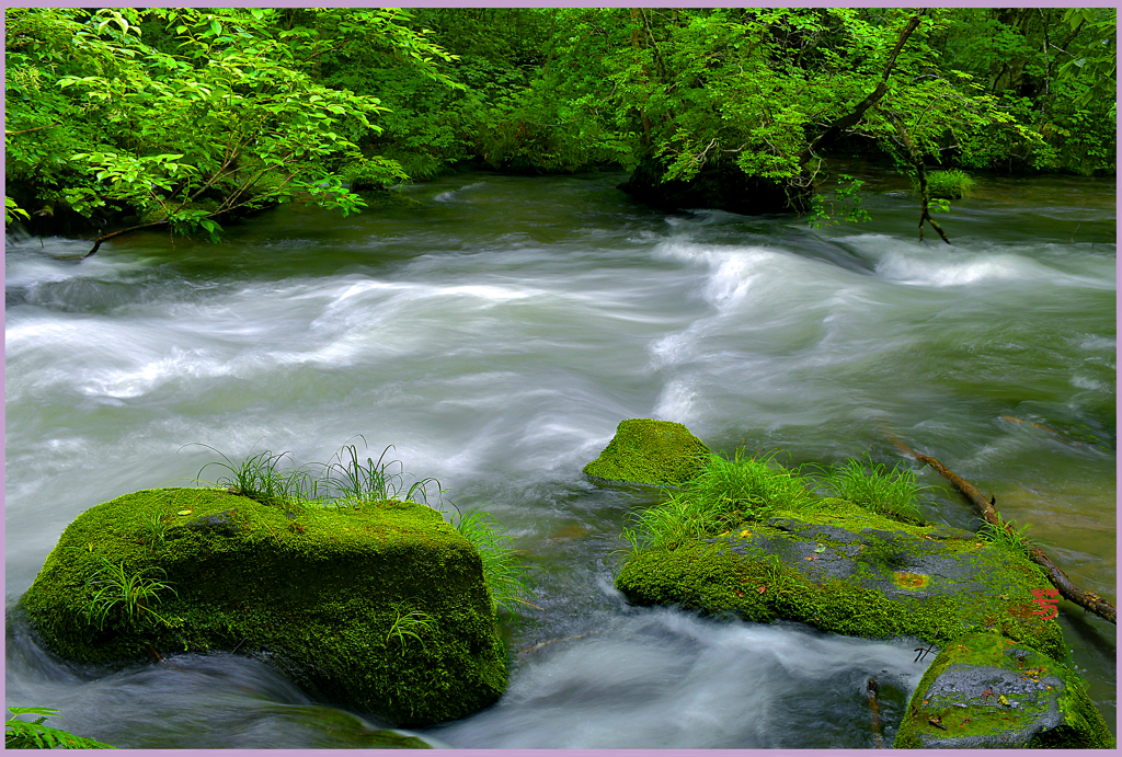 奥入瀬.青苔石