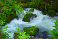 「本阿修羅激流　Ⅲ」