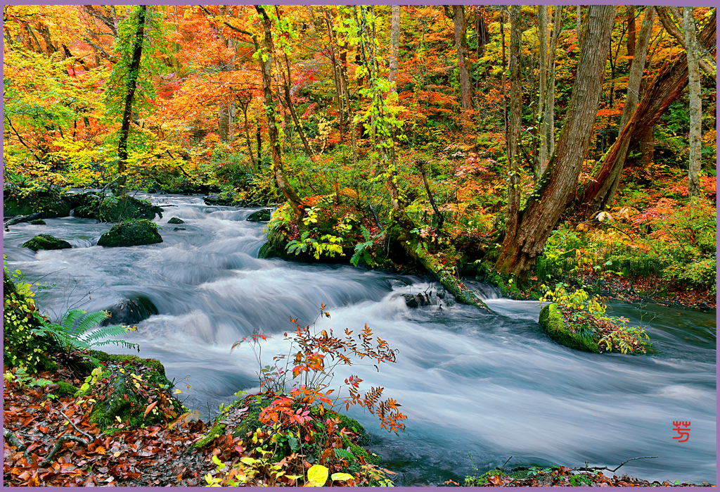 奥入瀬.錦絵図 Ⅲ