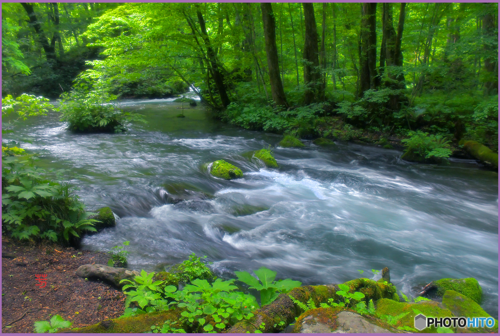 奥入瀬.白銀の流れ
