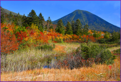 「睡蓮沼と高田大岳」