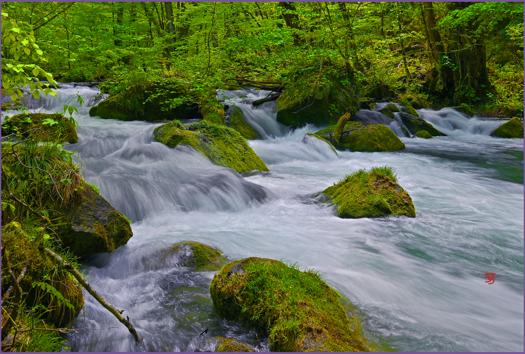 「カモシカ沢の流れ」