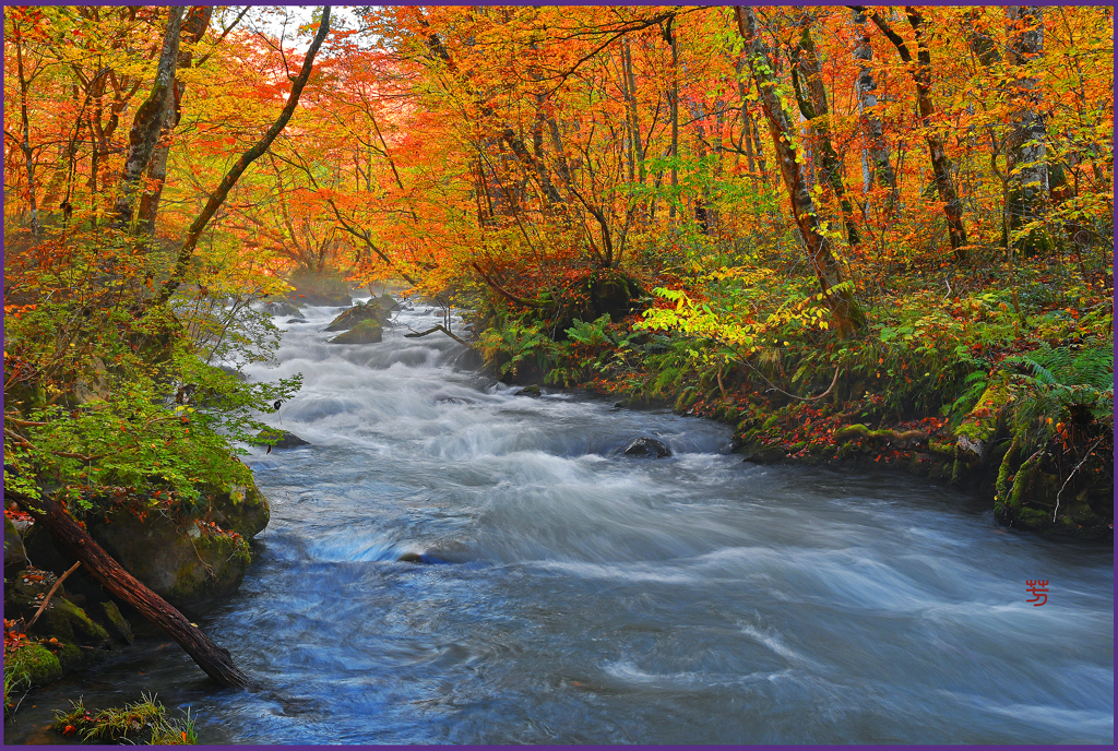 「奥.石ヶ戸の流れ」