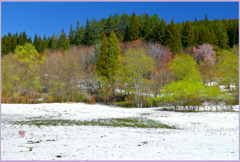 平成の名残り雪　2