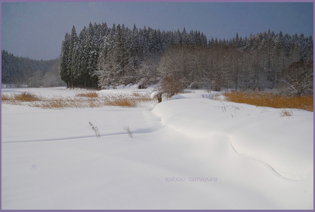 「雪景色」