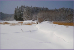 「雪景色」