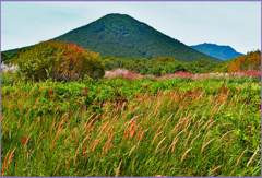 「秋めく高原」