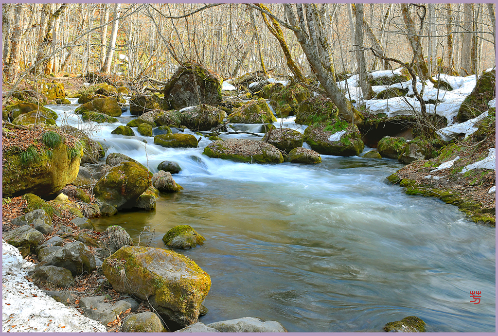 「2019　残雪の奥入瀬　Ⅰ