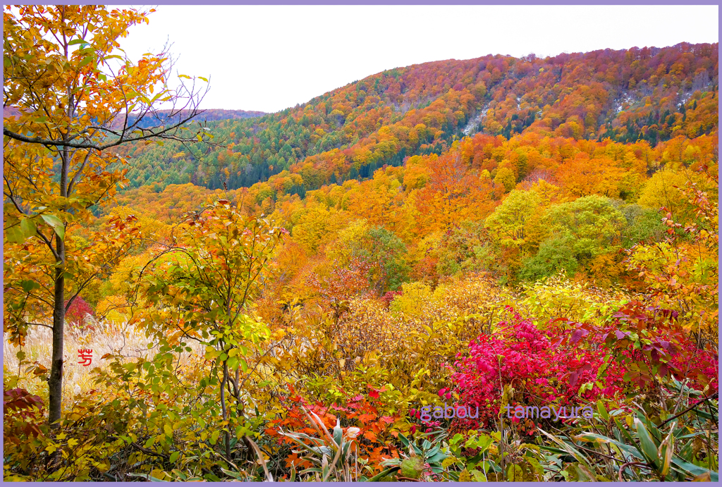 「渓谷のフィナーレ」