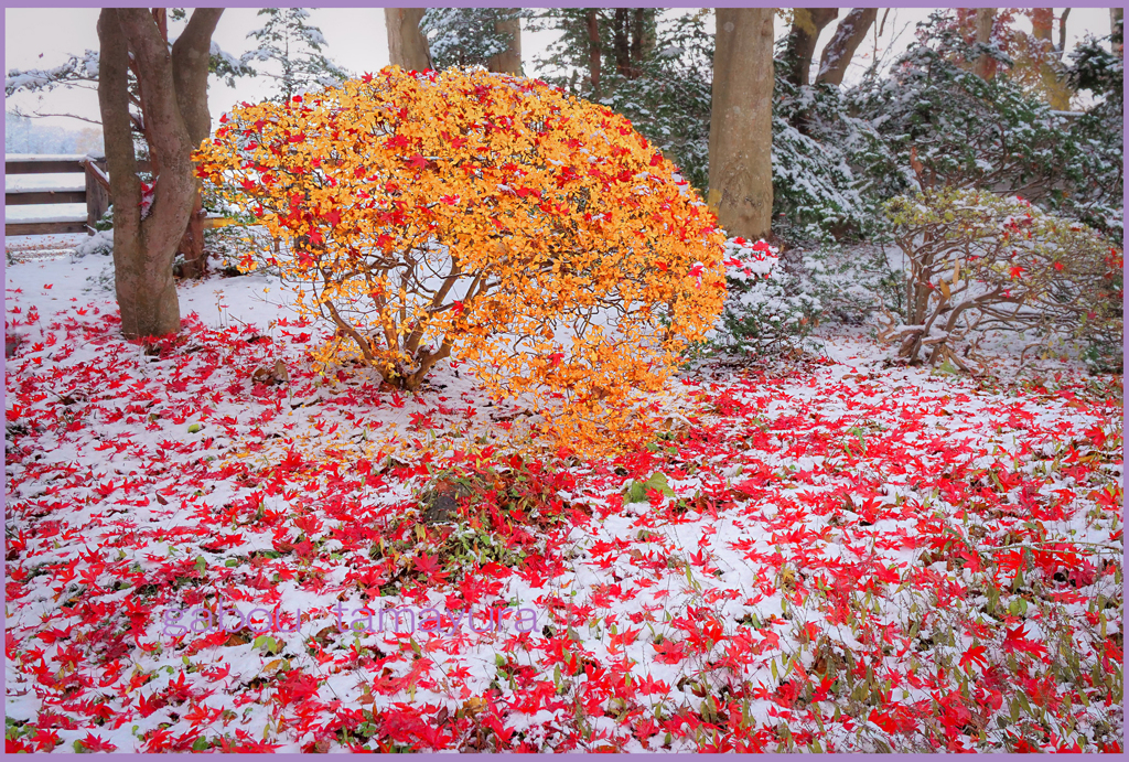 「ファンデーション」