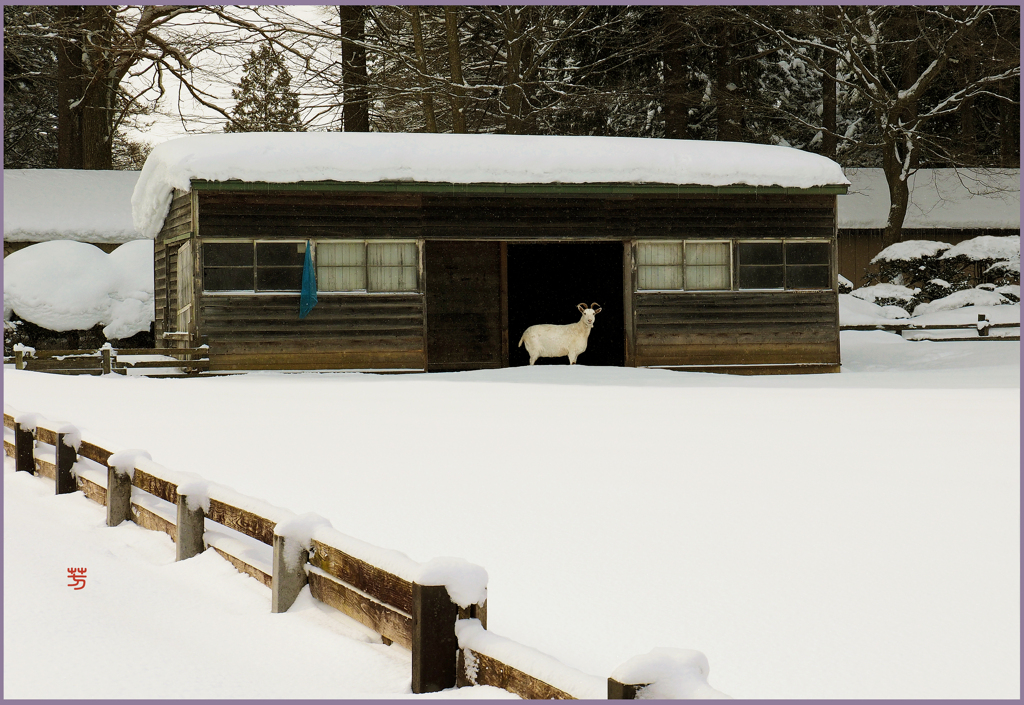 「まきば寸景Ⅱ」
