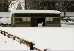 「まきば寸景Ⅱ」