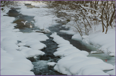 「冬の川」