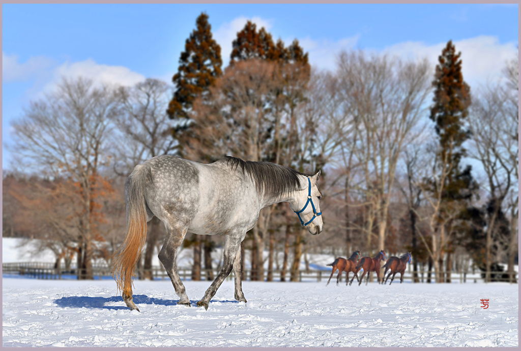 　「2019　まきば青空」