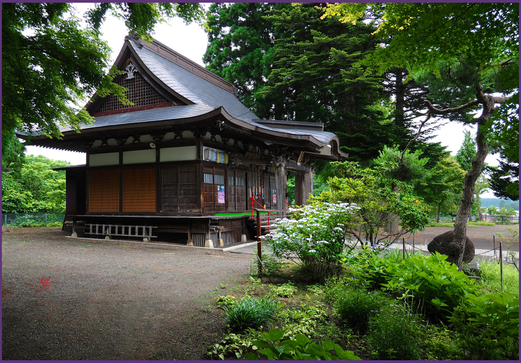 「蝉声の神庭」