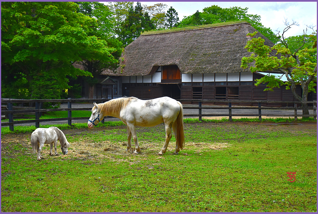 まきばの茅葺屋根