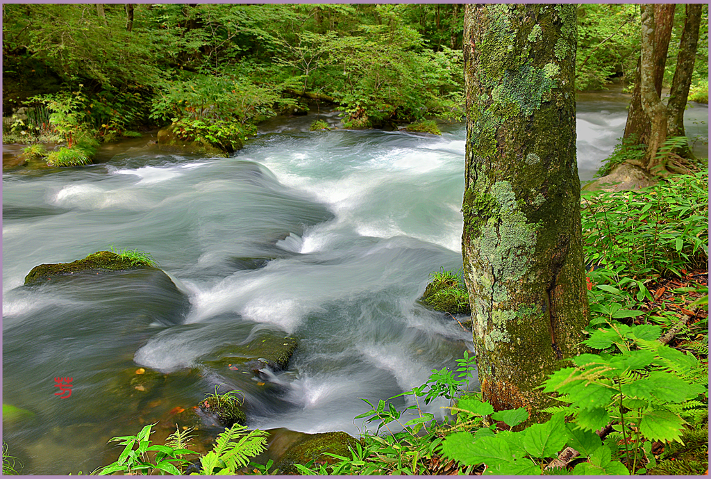 「奥入瀬.晩夏」