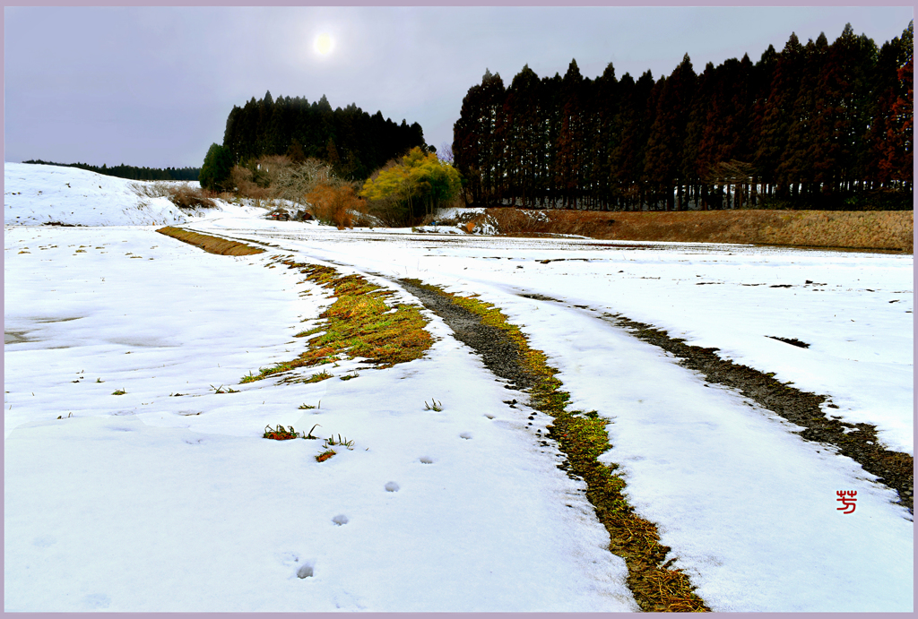 2019　北国の春.足跡