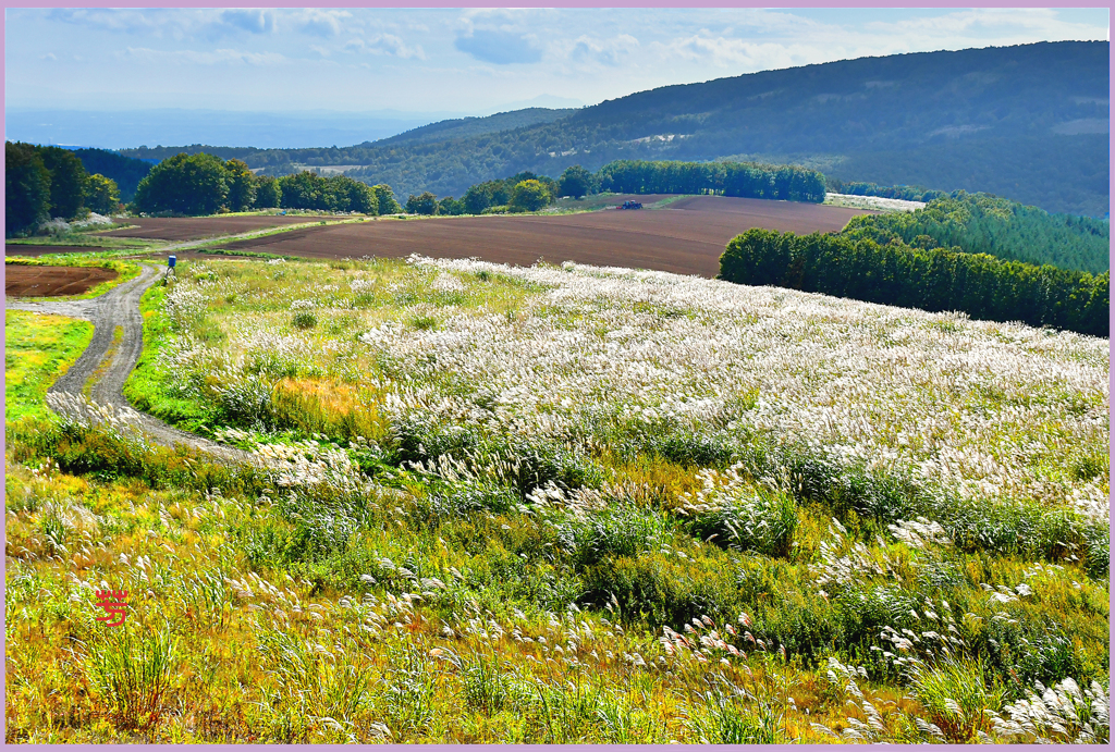 @ススキヶ原台地