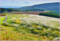 @ススキヶ原台地