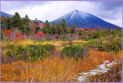 「高田大岳.初冠雪」 「高田大岳.初冠雪」
