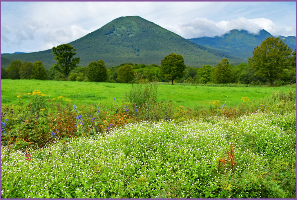 「八甲田山の小秋」