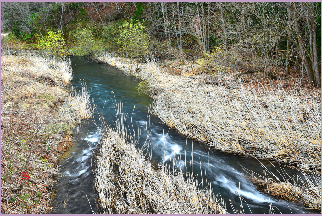 北国の春　「初萌黄2」