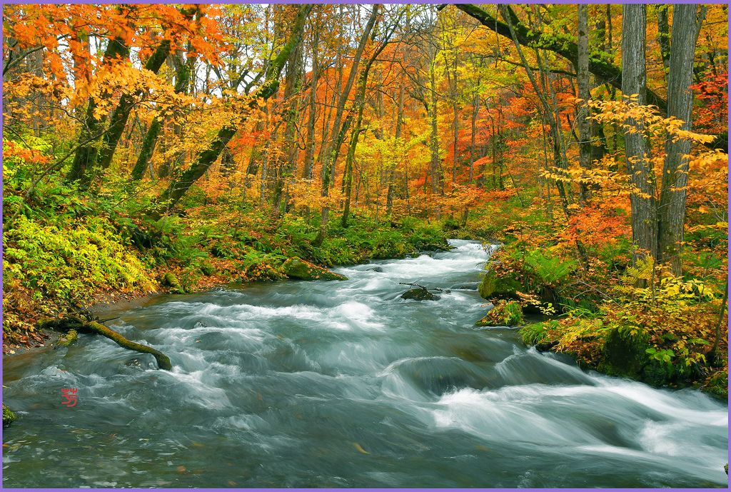 奥瀬紅葉Ⅲ