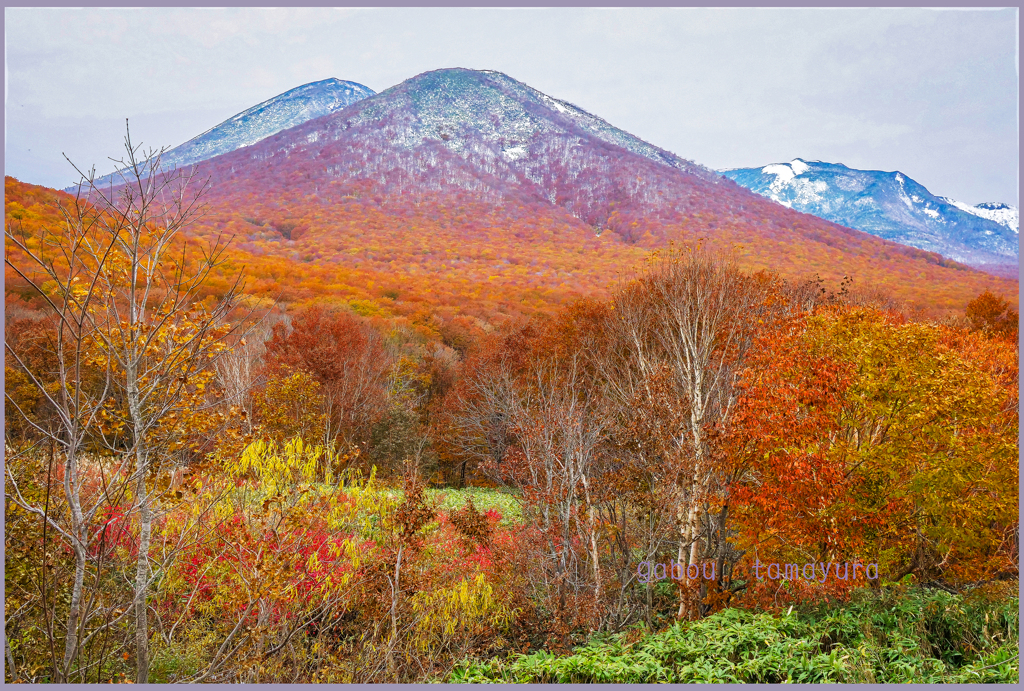 「雛岳初冠雪」