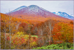 「雛岳初冠雪」 「雛岳初冠雪」