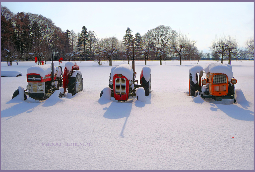 「まきばの朝」