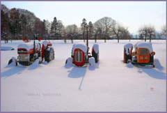 「まきばの朝」