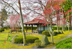 七戸城址、柏葉公園　「伝統華」