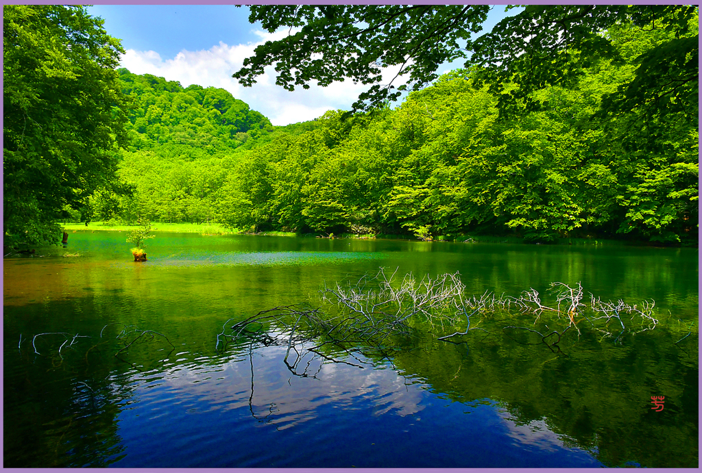 伝説.幻の菅沼 Ⅱ